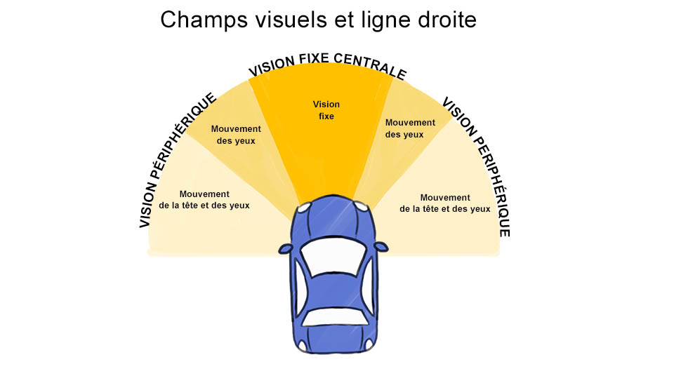 Récapitulatif champ visuel