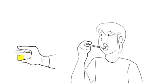 test salivaire test salivaire